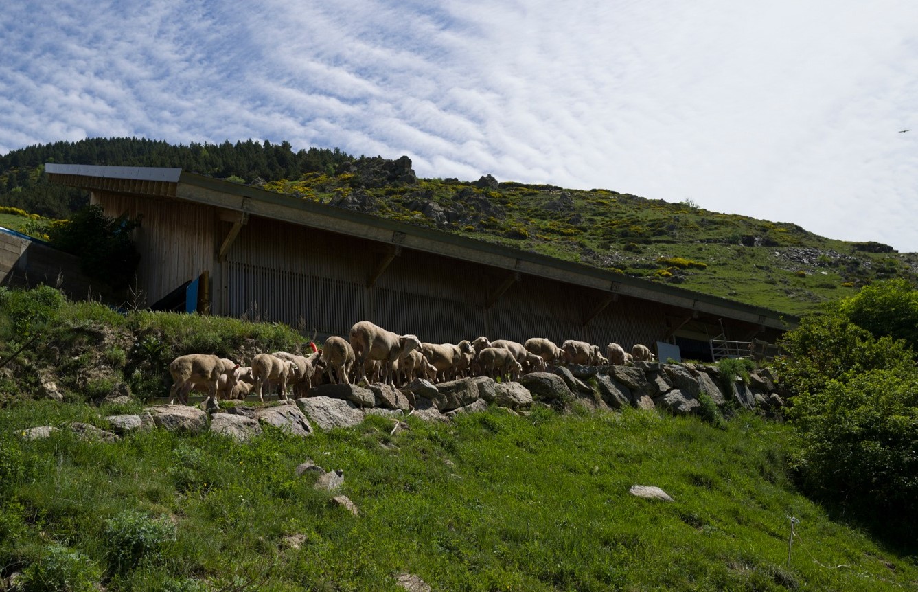 Bergerie la garbelouse
